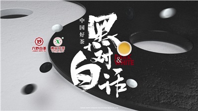 首屆黑白對(duì)話高峰論壇圓滿落幕！湘益茯茶備受關(guān)注！
